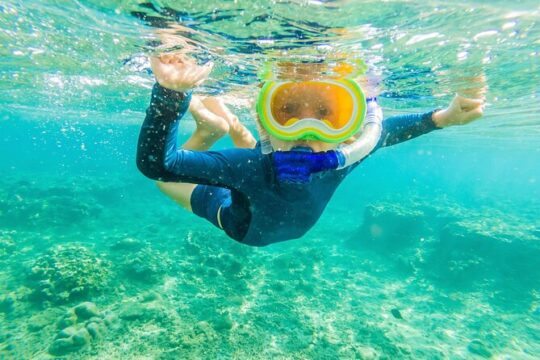 6 Hour Private Snorkeling Tour in Kona