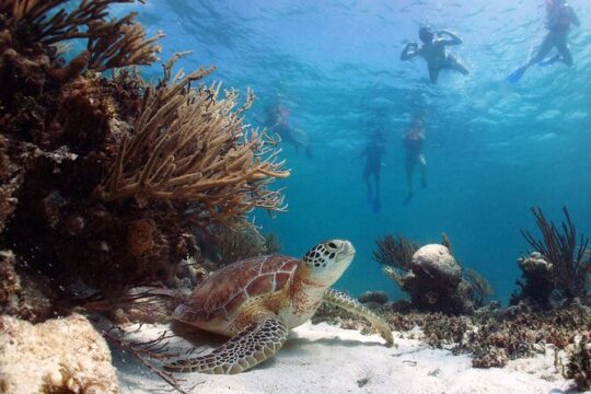 Sian Kaan Snorkel & Safari, Biosphere tour from Playa Del Carmen