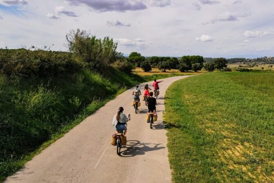 Full-Day Costa Brava and E-Bikes Guided Tour from Barcelona
