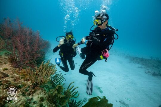 Basic Diver - Bautismo