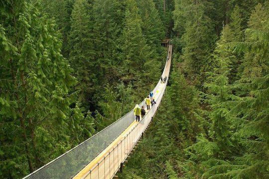 Vancouver and Capilano Park Private Tour