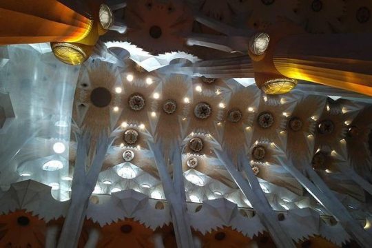Decoding Gaudí on a private tour with official guide