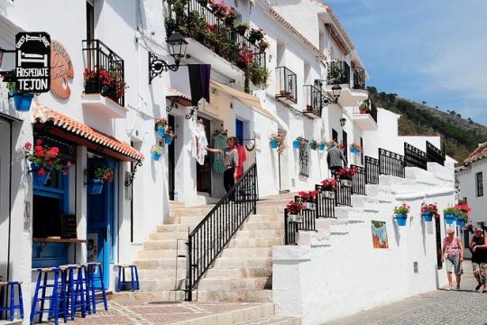 Malaga private Shore Excursion: Malaga Highlights & Mijas White Washed Village