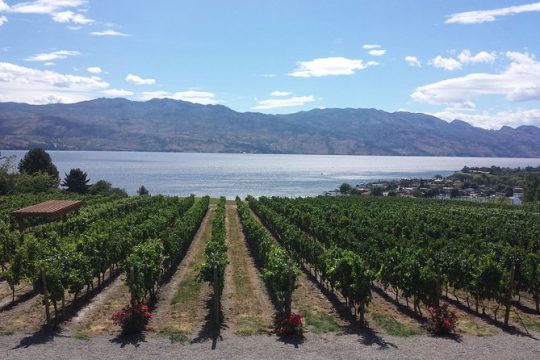 West Kelowna Gallery Of Grapes Wine Tour