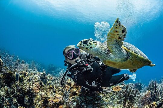 PADI Open Water Diver Course in Playa del Carmen