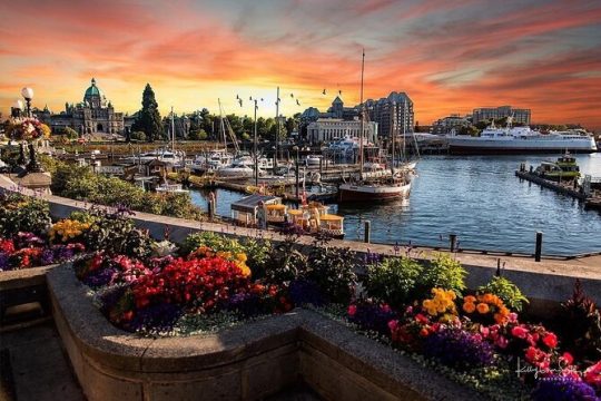 3-Day Tour to Vancouver Island w/ YVR Airport pickup (Eng&Mandarin)
