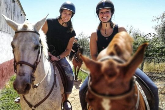 Granada & Sierra Nevada Horse Riding Tour