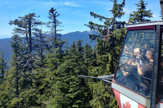Vancouver Grouse Mountain Admission Ticket