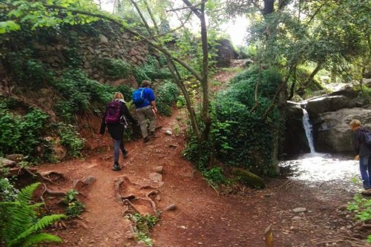 Montseny Guided Hiking Tour from Barcelona with Organic-friendly Lunch