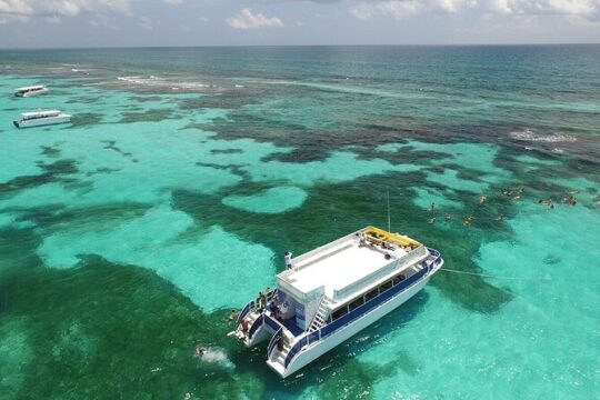 Tour Contoy Magic Island! Round Transportation From Cancun & Playa Del Carmen