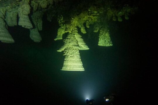 Cenotes diving Zapote and Kin Ha