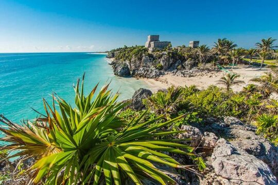 Deluxe Tour 4x1 Tulum, Coba and Cenote from Playa Del Carmen