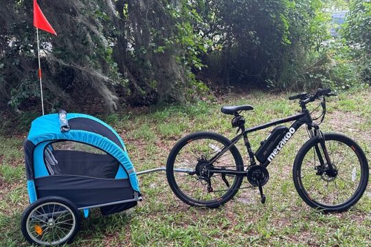 2 hours E-Bike with 2-Child Trailer Kissimmee Lakefront Tour