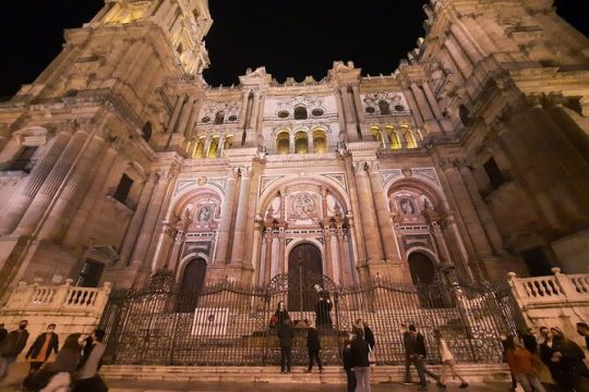 Mysterious Malaga Night Tour with Private Guide