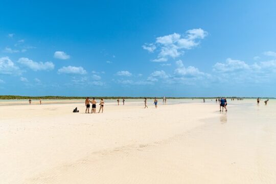 Full Day Holbox Island Tour from Playa del Carmen with Lunch