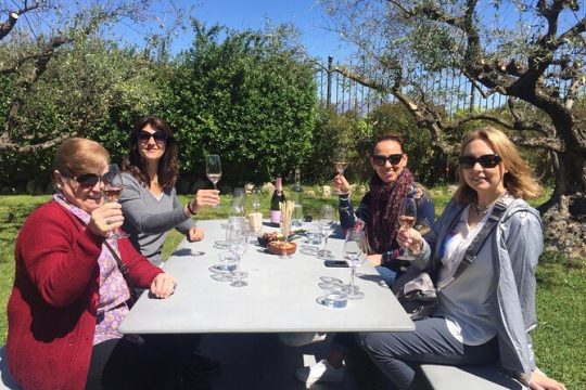 Penedes and Cava Winery Small Group Tour
