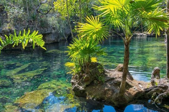 Snorkeling in the cenotes