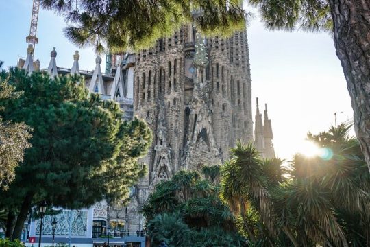 Private Best of Barcelona with Sagrada Familia Guided Tour