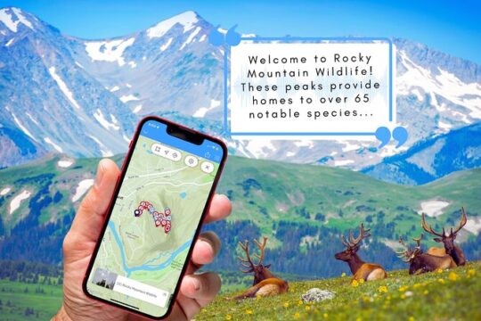 Tunnel Mountain Trail: a Smartphone Audio Nature Tour