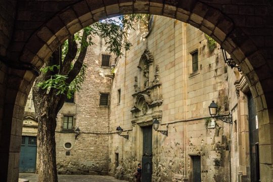 Private Barcelona Old Town Walking Tour: Gothic Quarter & Born