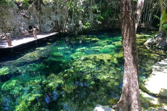 Private Transfer to Cenotes at Riviera Maya