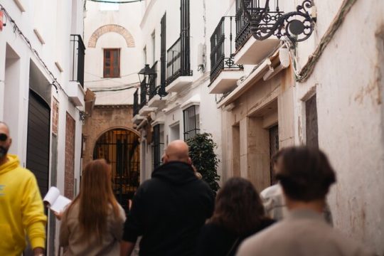 Guided Walking Tour With A Local in Marbella Old Town