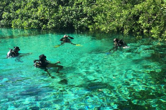 Open Water Course in Cenote & Ocean + 1 Cenote Dive from Playa del Carmen