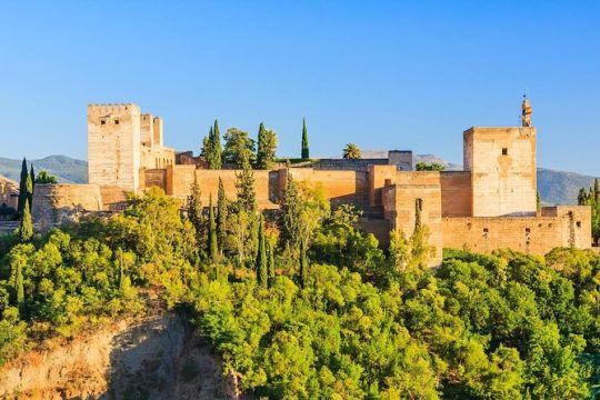 Alhambra and Generalife Private Guided Tour with optional Nasrid Palaces