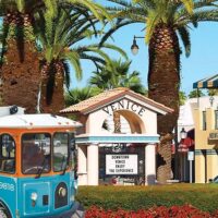 Cultural Tours