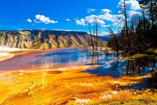 SF-Yellowstone,Grand Teton,Antelope Canyon&Las Vegas 7-Day Tour