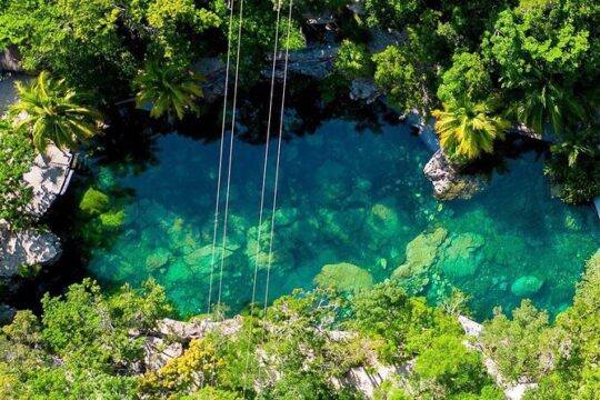 4 Casa Tortugas Cenotes Tour