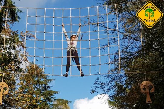 Tree Top Highwire - 2 different courses for different age groups