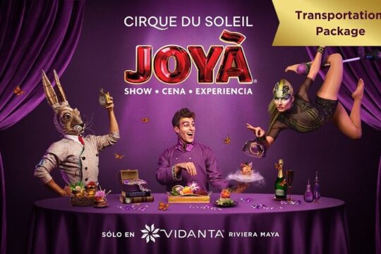 Transportation from Playa del Carmen + Cirque du Soleil® JOYÀ