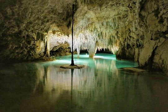 Hidden Cenote exploration in Playa del Carmen