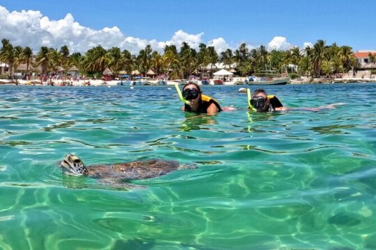 Akumal; Snorkeling and Photos with Turtles