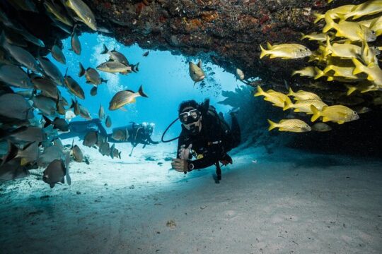 Scuba Diving tours