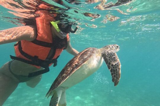 Private Snorkeling with Sea Turtles in Akumal Beach