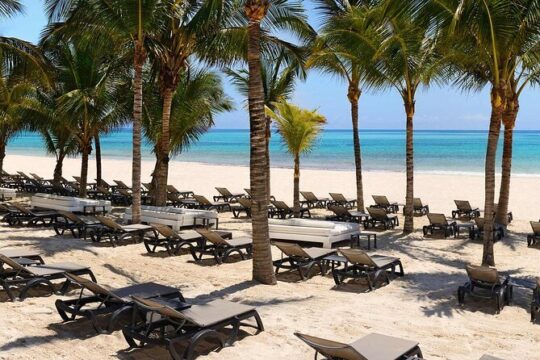 Enjoy a wonderful full day at the best Beach Club of the Riviera Maya