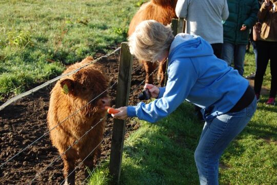 5-Day Best of Scotland Tour from Edinburgh