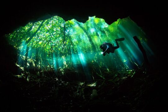 Cenote Diving - 2 Tank Dive Trip for Certified Divers