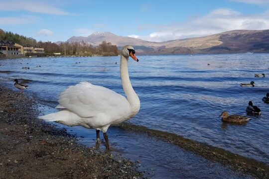 Glorious Scotland Scenic Tour From Glasgow Area