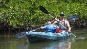 5 Star Tour of Rookery Bay
