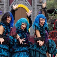 Holiday & Seasonal Tours