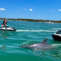 Waterskiing & Jetskiing
